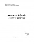 Integración de las vías nerviosas generales.