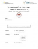 PLAN DE TRABAJO DE PROYECTO INTEGRADOR DE SABERES