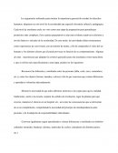 Educar en derechos humanos