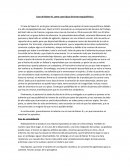 Caso de Rainer N. como caso típico de brote esquizofrénico