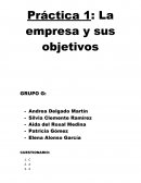 Práctica 1: La empresa y sus objetivos