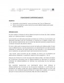 FUNCIONES DIFERENCIABLES