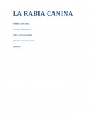 LA RABIA CANINA