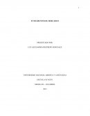 Mercadeo almacenes exito