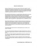 Nexos en la cadena de valor