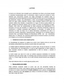 La leche es el alimento más completo que la naturaleza nos ofrece