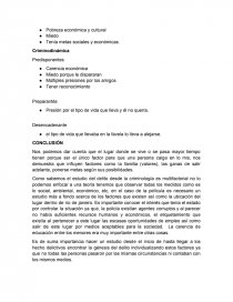 Cuidad de dios ANALIZIS CRIMINOLOGICO. Página 6