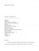 MODELO BANCA ELECTRONICA: Descripción del sitio de Banco Industrial