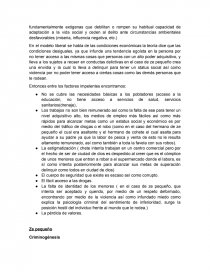 Cuidad de dios ANALIZIS CRIMINOLOGICO. Página 3