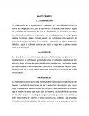 MARCO TEORICO LA ALIMENTACIÓN