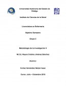 UNIDADES DE ANÁLISIS