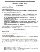 Equilibrio en el cuerpo humano