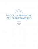 La tierra y su valor, Los veinte puntos de la enclítica del papa Francisco.