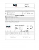 INSPECCIÓN TÉCNICA DE NEUMÁTICOS