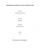 Pasos de un anteproyecto de investigación