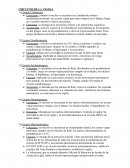 CIRCUITOS DE LA VIGILIA Y EL SUEÑO
