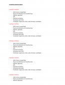 La capacidad productiva