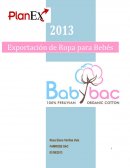Plan de Negocios: Plan de Negocio de Exportación de Prendas para Bebés