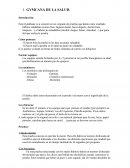 Gymkhana de la salud