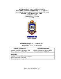INFORME DE PRÁCTICA PROFESIONAL ESPECIALIDAD SISTEMAS. Página 1