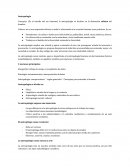 Entendemos a la cultura desde una visión holística, polifacética, móvil, vasta, histórica, diversa.