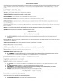 ELEMENTOS DE LA ESTRUCTURA FORMAL