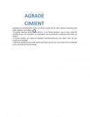 Rotación del personal