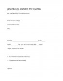 Ensayo de Prueba ay cuanto me quiero