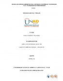 Trabajo grupal unidad 1 la distribuidora de Pollos “La Gallina de oro”