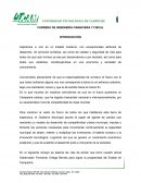 Gobierno responsable y moderno INTRODUCCIÓN