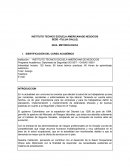 Diplomado OHSAS 18001