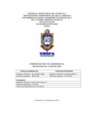 INFORME DE PRÁCTICA PROFESIONAL ESPECIALIDAD SISTEMAS