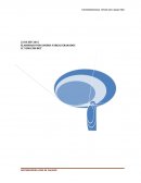 Trabajo: Empresa en la importación y distribución de vinos de carácter