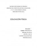 Como se da la Educasion fisica