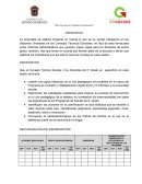 ROPUESTA DEL PIAD EN LOS CONSEJOS TECNICOS