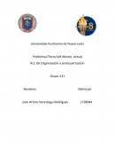 Ventajas y las desventajas de la Globalización - Actividad de Organisacion y Jerarquizacion