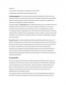 Cuales son las fases de la sexualidad infantil