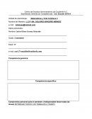 Portafolio de Matemáticas