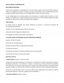 DELITOS CONTRA LA SEGURIDAD VIAL