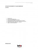 LISTADO DE DOCUMENTOS Y PLANOS NUMERADOS