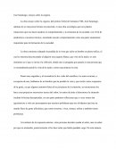 Ensayo del libro: Ensayo sobre la ceguera
