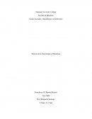 Vocabulario de ginecóloga y obstetricia