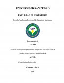 Tesis Escuela Académica Profesional de Ingeniería Agrónoma