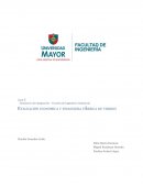 Informe Caso II : EVALUACION DE PROYECTOS