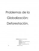 PROBLEMAS DE GLOBALIZACIÓN