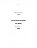 Institución universitaria salazar y herrera