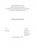 Tema: Nichos De Mercado