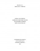 PRACTICA N° 1 HORTALIZAS Y VERDURAS