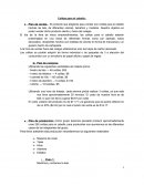 Colitas para el cabello