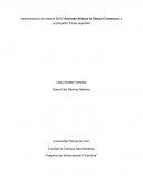 Implementación del sistema BASC Business Alliance for Secure Commerce), a la compañía “Portal cargoSAS